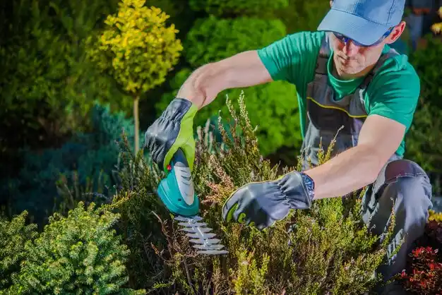 landscaping services Rolling Fork